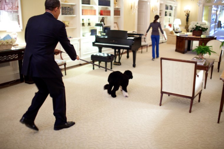 President Barack Obama walks the family dog \"Bo\" on a leash April 14, 2009, through the Private Residence at the White House. Official White House Photo by Pete Souza