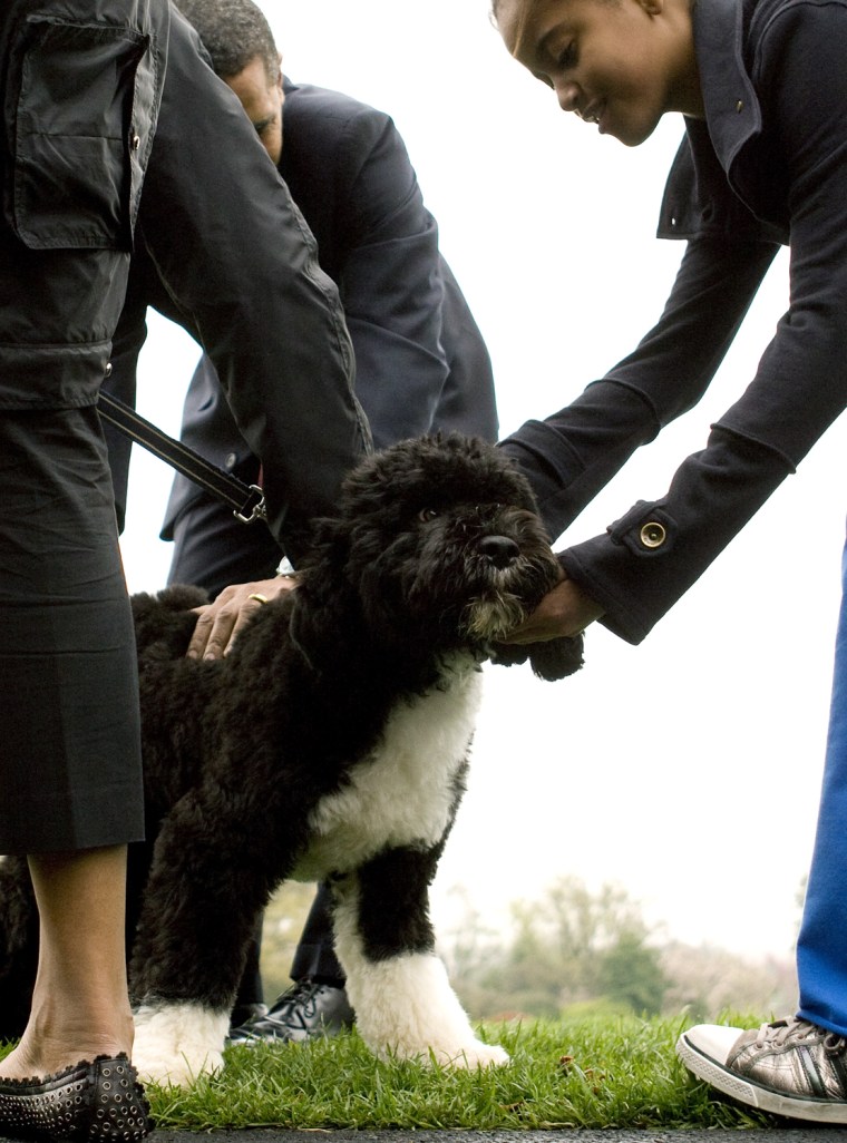 U.S. President Barack Obama presents the first family's new dog, 'Bo' at the White House