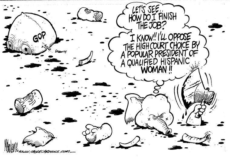 The Week In Political Cartoons