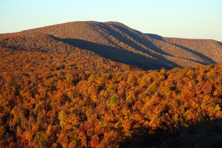 Image: Fall colors blanket the Shenandoah Natio
