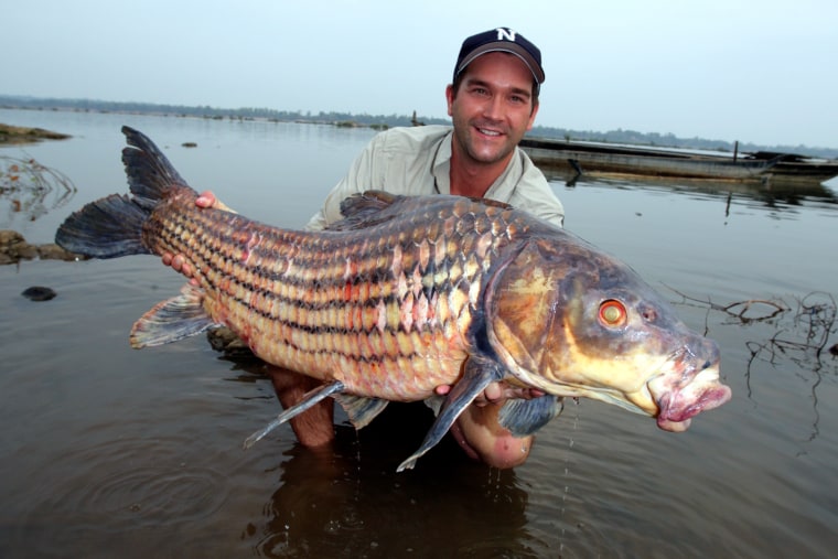 Monster fish