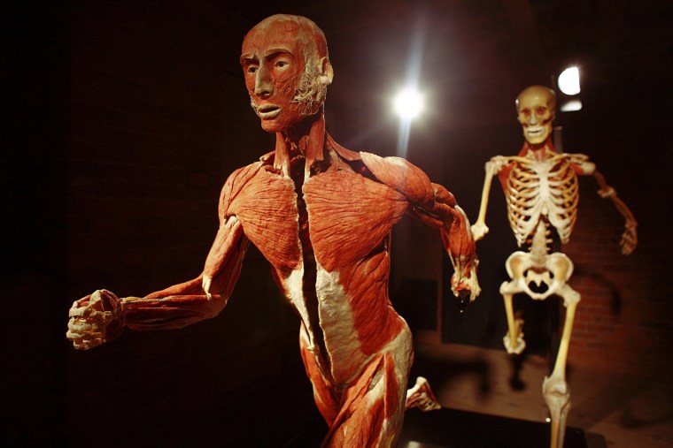 Controversial Body Worlds Exhibition Opens