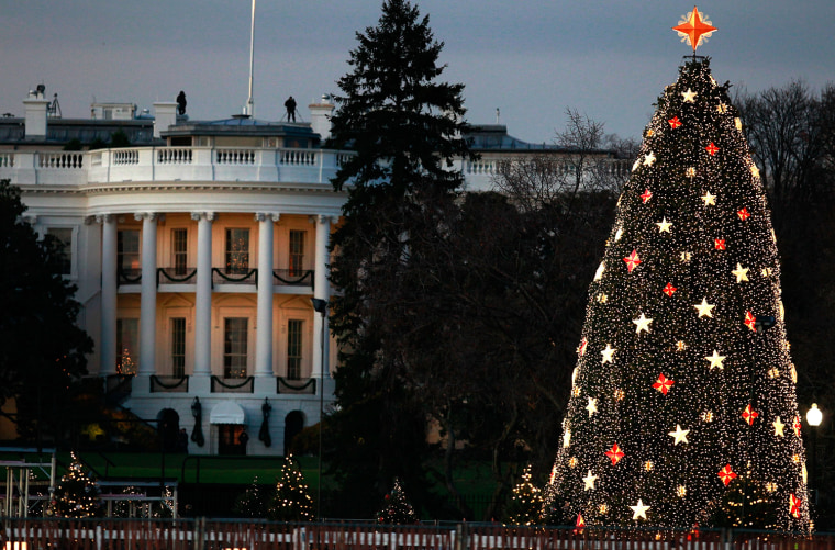 Image: Lights Shine On The National Christmas Tree In DC