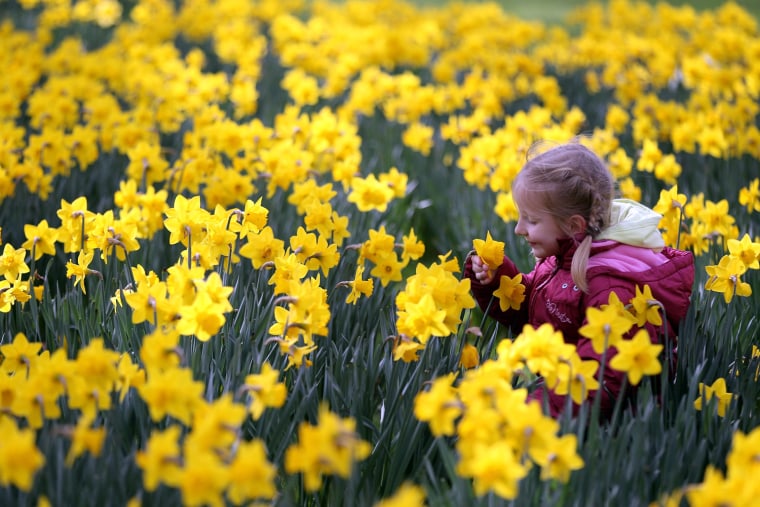 Image: Long Awaited Spring Sunshine Arrives In London