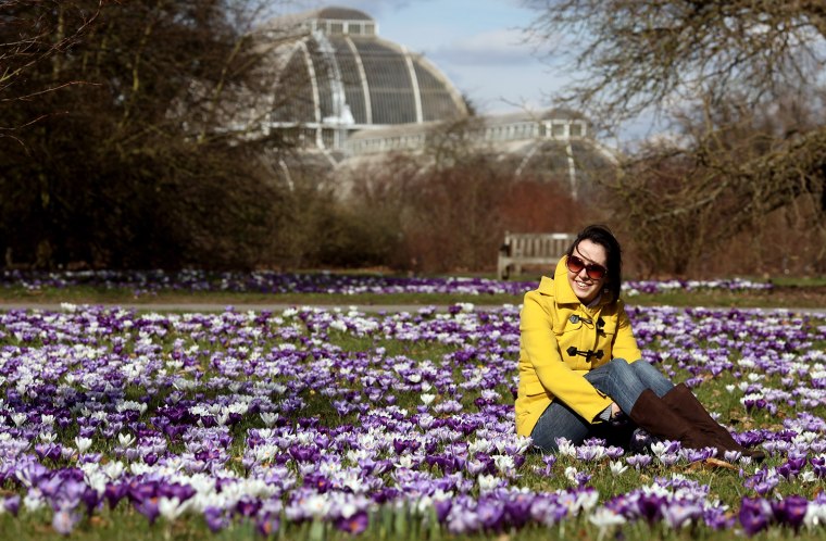 Image: The First Signs Of Spring Are Seen At Kew Gardens