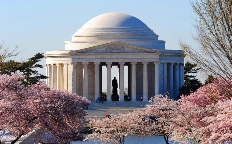 Image: Blooming cherry trees in front of the Jefferson Memorial.