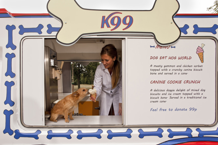 World’s first ice cream truck for dogs rolls out