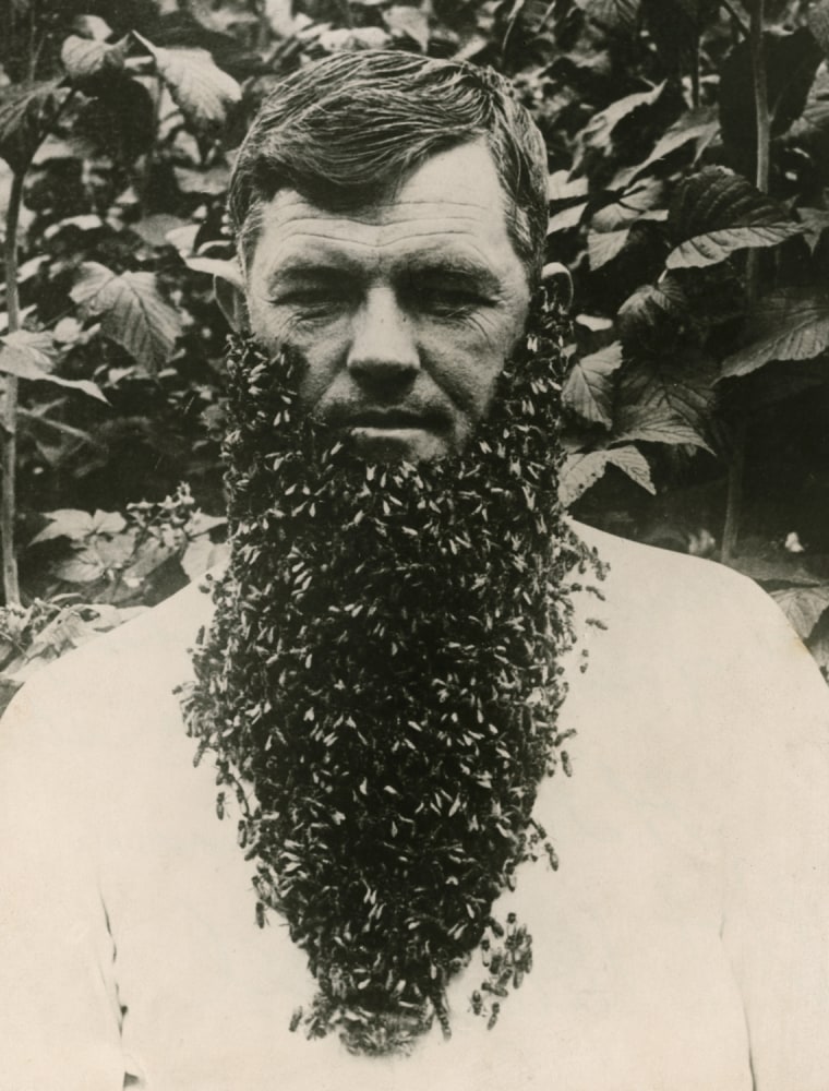 Image: A beekeeper in Vincennes, Indiana, circa 1920, let a swarm of the insects cover his face to demonstrate the peaceful nature of honeybees