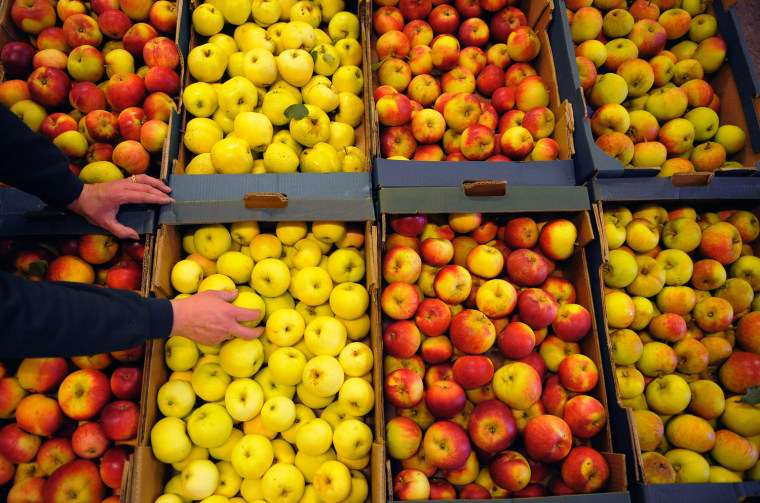 Image: Farmer Alison  arranges apples at Whitehouse farm in Wilberfoss, northern England