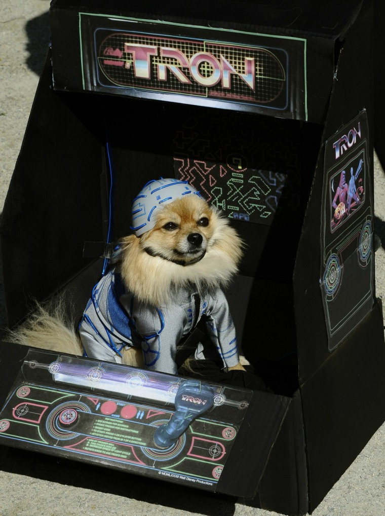 Image: Sauce dressed as Tron participates in th