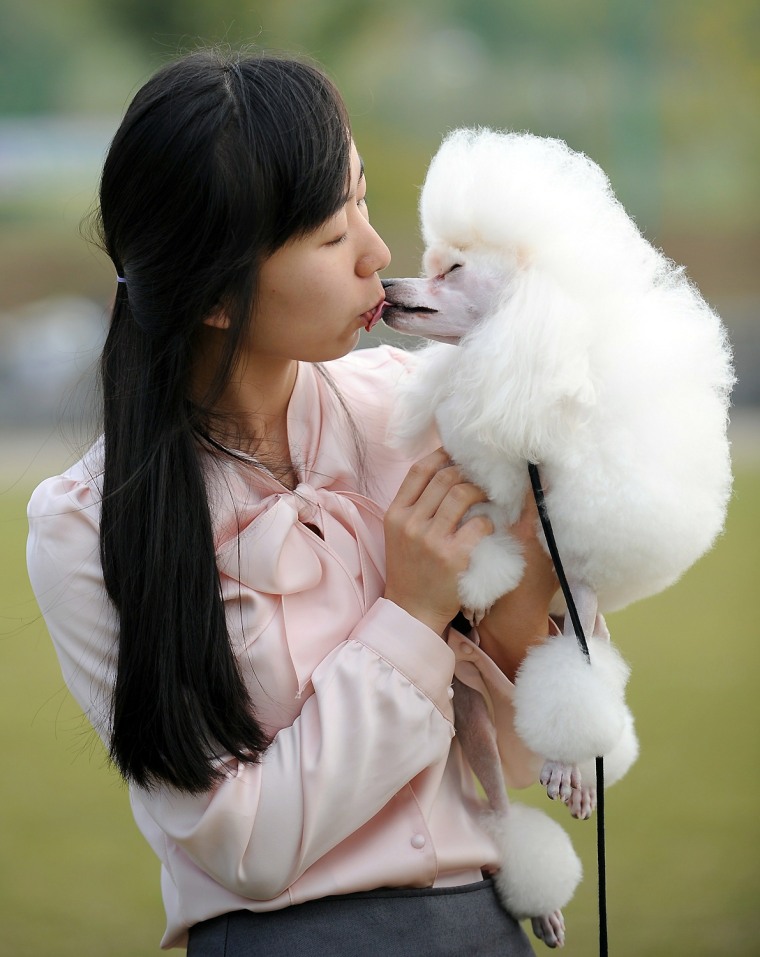 Image: A South Korean woman kisses her pet dog