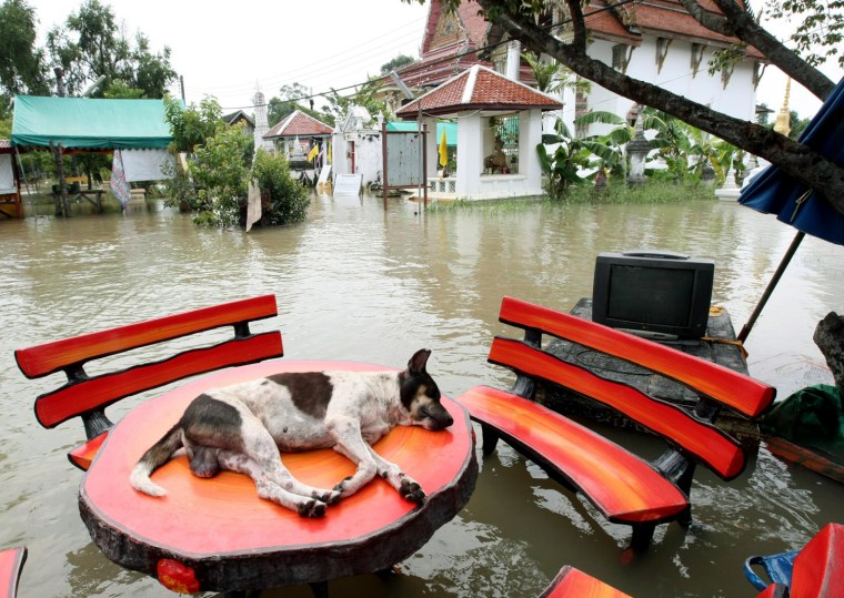 Image: Thailand floods claim 100 lives and 5 million people affected