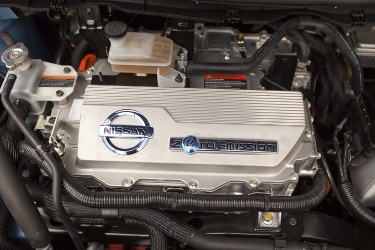 Life with an electric Leaf