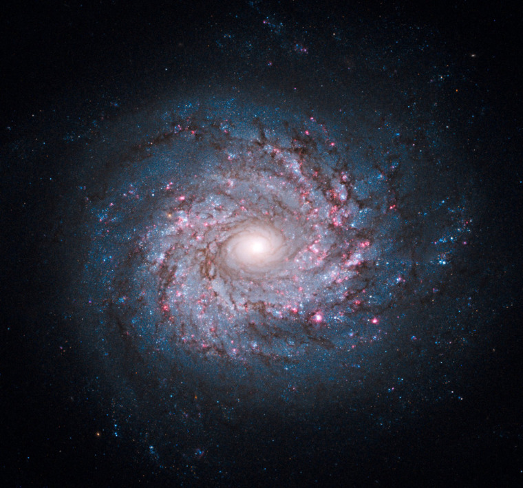 This Hubble Heritage image shows the spiral galaxy NGC 3982, about 68 million light-years away in the constellation Ursa Major.