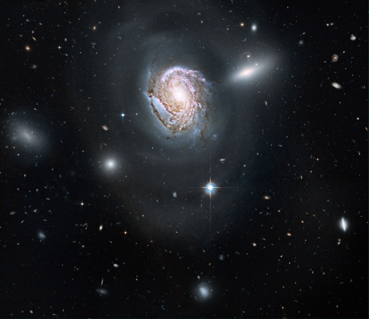 August 10, 2010: A long-exposure Hubble Space Telescope image shows a majestic face-on spiral galaxy located deep within the Coma Cluster of galaxies, which lies 320 million light-years away in the northern constellation Coma Berenices. The galaxy, known as NGC 4911, contains rich lanes of dust and gas near its center. These are silhouetted against glowing newborn star clusters and iridescent pink clouds of hydrogen, the existence of which indicates ongoing star formation. Hubble has also captured the outer spiral arms of NGC 4911, along with thousands of other galaxies of varying sizes. The high resolution of Hubble's cameras, paired with considerably long exposures, made it possible to observe these faint details.

This natural-color Hubble image, which combines data obtained in 2006, 2007, and 2009 from the Wide Field Planetary Camera 2 and the Advanced Camera for Surveys, required 28 hours of exposure time.