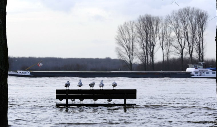 Image: TOPSHOTS

Seagulls sit on a bench flooded