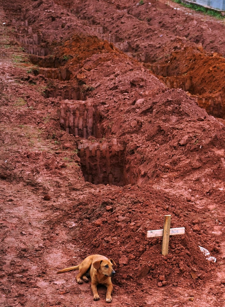 Image: A dog, \"Leao\", sits for a second consecutive day, next to the grave of her owner