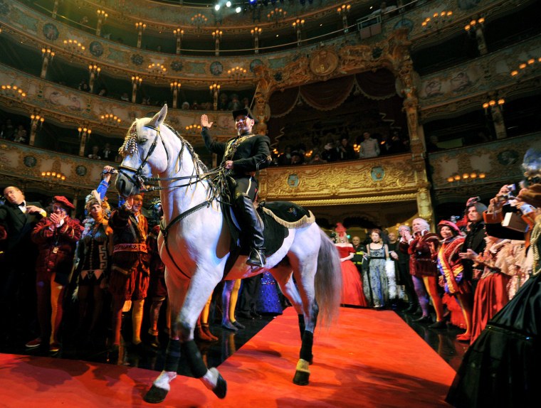 Image: A horse is brought into the Fenice theat