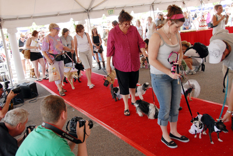 At Colorado's Bow Wow Vows in 2007, 178 canine couples, 356 dogs in all, hitched the knot in their leash.