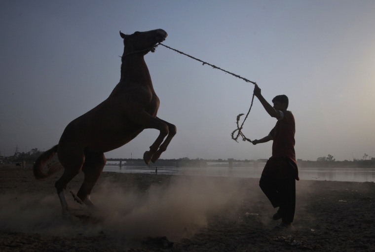 Image: A man is silhouetted against the sun as he directs his horse to raise his front hoofs during routine practice on the outskirts of Lahore