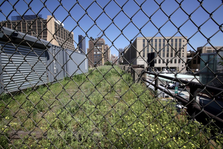 High Line expansion