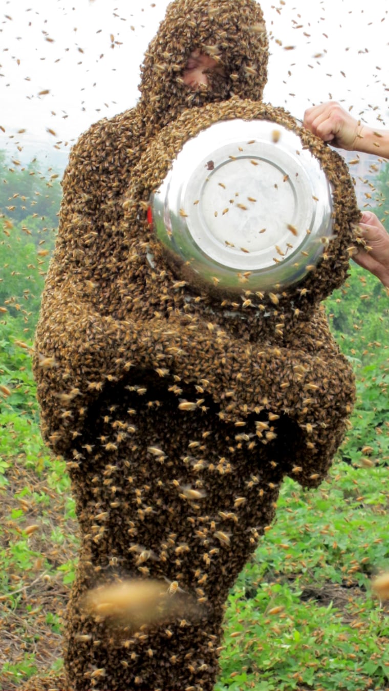 Image: Bee-man In Chongqing