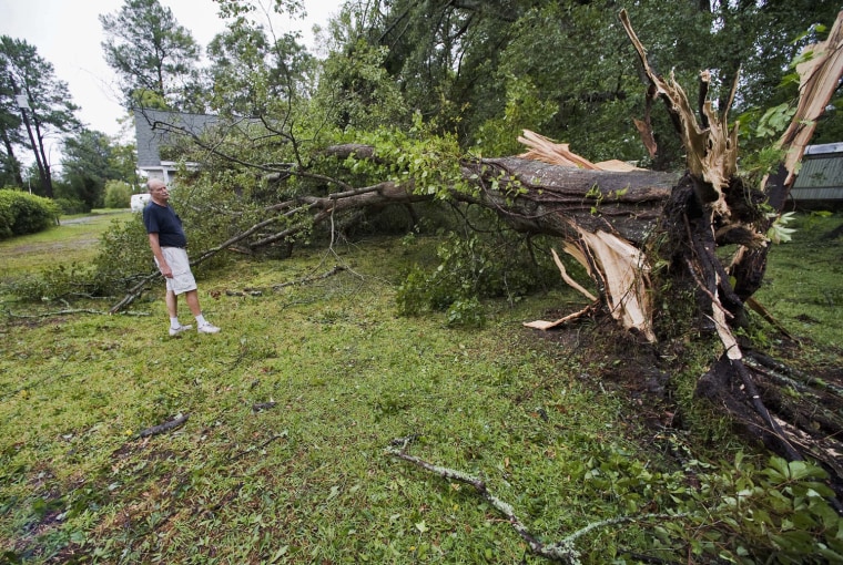 Image: Don Hurtig looks over an oak tree that blew over in his front yard as Hurricane Irene comes ashore near Morehead City, North Carolina