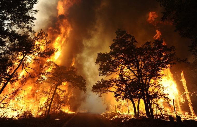 Image: Wildfires burn thousands of acres near Bastrop, Texas