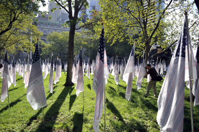 Image: Flags at Battery Park in Manhattan