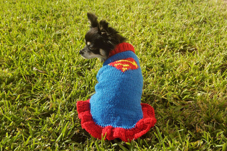 Great! you got the photos, I was having difficulty sending them.
About your question, why I started making these sweaters, \"I love my chihuahuas\".  
I couldn't find good hand knitted sweaters on the market, being a knitter myself I started knitting my Chihuahua's sweaters for the winter.
Each dog has a different style sweater, when 5 of them wear their outfits outside it's a big showstopper!  It's fun to see them running on the grass with all their different outfits! 
Suki - my 8 year old long haired Chihuahua gave me the idea to knit a \"super\" dog sweater, because she is a mother of 5 and has superb personality.  A \"Super Sweater\" for a \"Super Dog\"!
The Super dog sweater along with another sweater I designed \"Dark Princess AKA skull and cross bones sweater ( I love skulls)\" is my best selling pet sweater.  They are not just for small dogs, they are also perfect for cats too.  I take measurements to knit each one making sure each is a perfect fit!
I love them and my custo