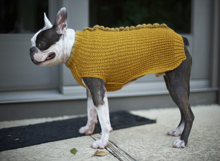 Perfect cover for a pooch with an attitude. Hand knitted specifically for your pampered pooch from a soft and warm wool/acrylic blended fabric.

Sweater is olive/brown with dragon-like scales. This listing is for a SMALL to a MEDIUM size dog. The sweater is knitted to your dog's measurements, up to 15 inches in length.