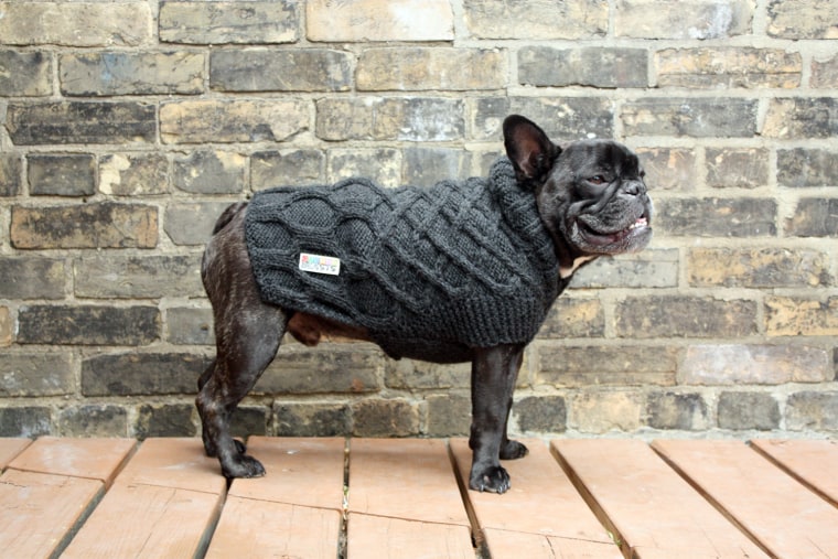 \"The Sweater\" is made of superwash wool and is hand-knit. These are machine washable and fit great. The are designed to fit broad chested breeds and currently are only available for Pugs, Frenchies and Boston Terriers.