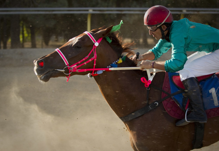 Image: To match Feature IRAN-HORSERACING/