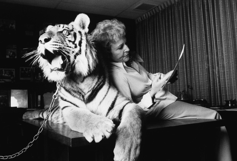 Actress Betty White leans against \"Sultan\" a 300 pound Bengal Tiger, just under a year old, on June 7, 1979 in Los Angeles recently.    White was helping to plan the Morris Animal Foundation Annual Health Conference and luncheon to be held in Los Angeles, June 10, 1979.    (AP Photo)