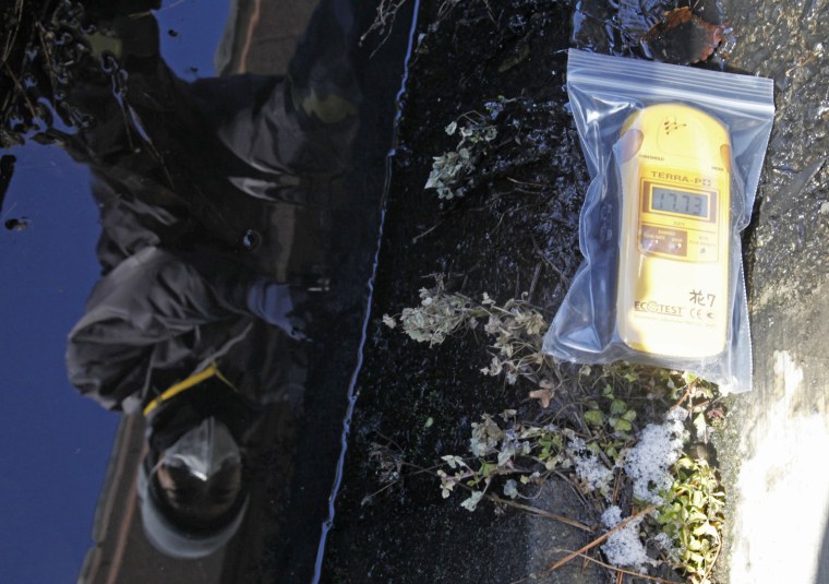 Image: A volunteer worker is reflected in waters inside a ditch as a Geiger counter is placed for measurement during a radiation-cleansing event in Fukushima