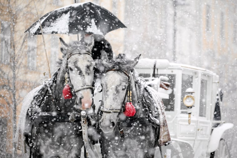 Image: A horse carriage rides through heavy snowfall in Krakow