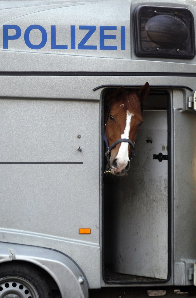 Image: A horse peers out of a police trailer in Frankfurt