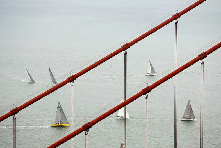 Image: The Spinnaker Cup