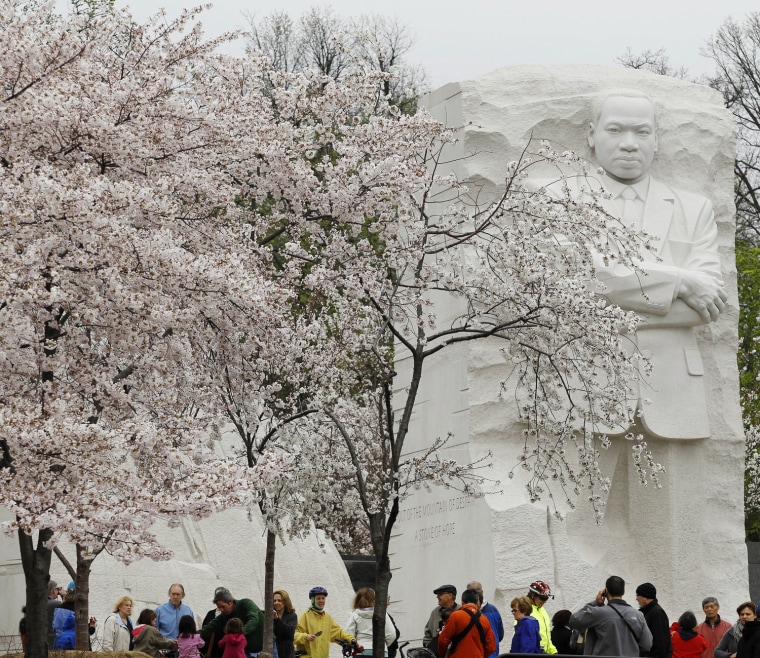 Image: Tourists walk by cherry blossom trees near the Martin Luther King Memorial in Washington