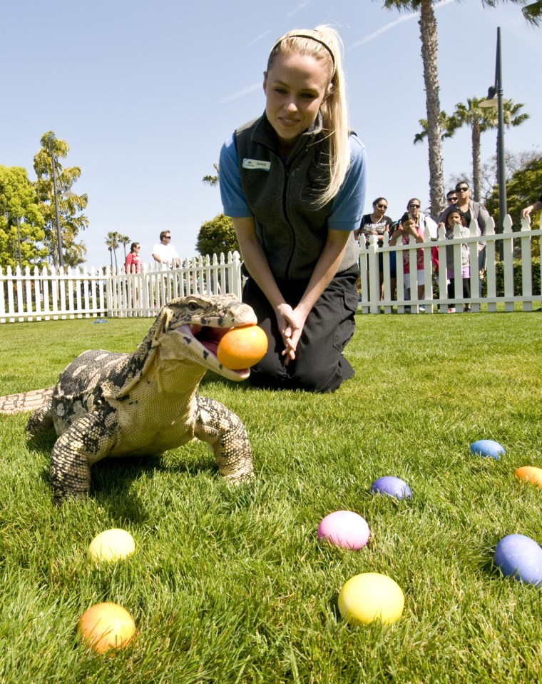 Image: Easter Egg Hunt At SeaWorld San Diego