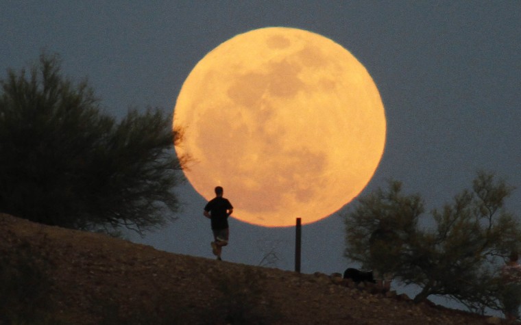 Image: A runner makes his way along a trail on a butte in front of the \"super Moon\"  at Papago Park in Phoenix