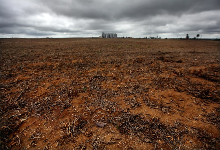 Image: Brazil Faces Environmental Challenges in Amazon Ahead of Rio Earth Summit