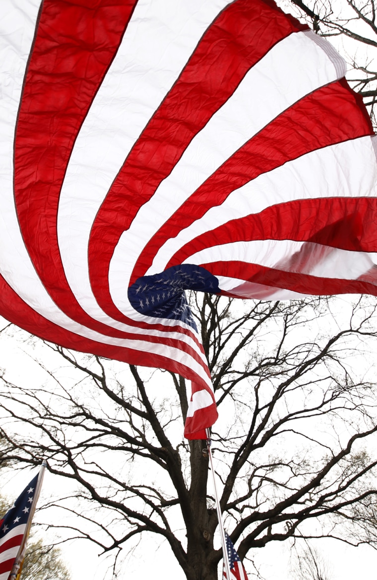 Image:  Flag at a Tea Party Rally in Washington