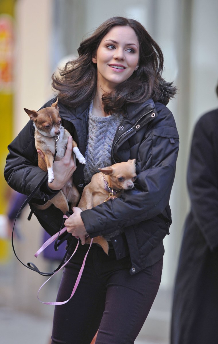EXCLUSIVE: Katharine McPhee seen walking her dogs in New York City