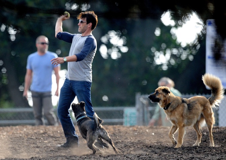 EXCLUSIVE: Stephen Moyer and daughter, Lilac, give their dogs a full workout in Venice, CA