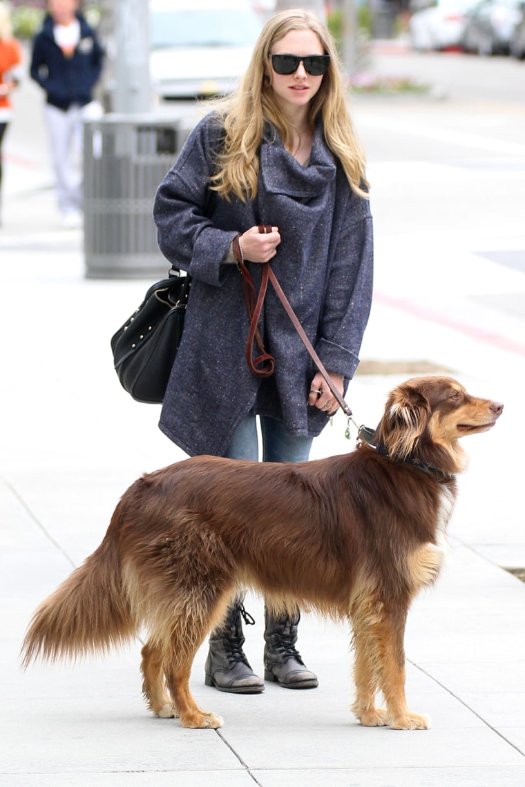 Amanda Seyfried Shops at Hermes With Her Dog Finn