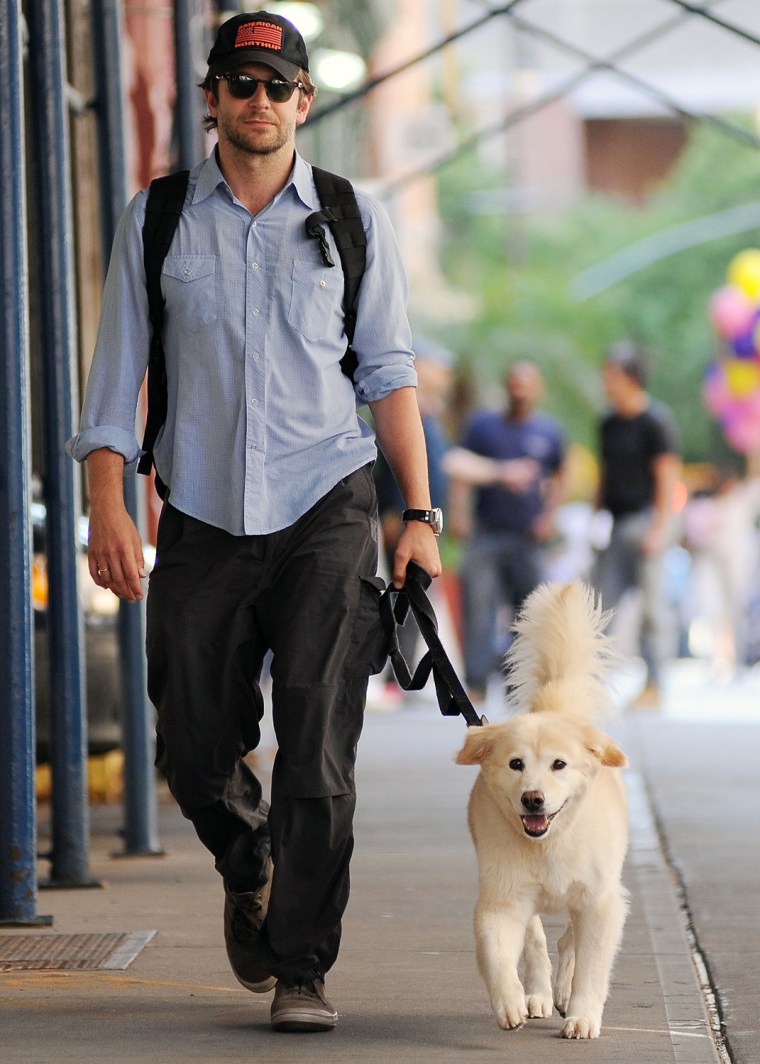 Bradley Cooper taking his Dog for a Walk