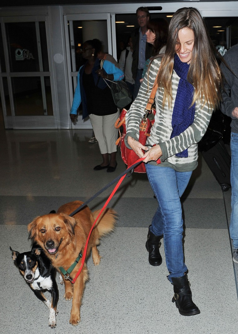 Hilary Swank with Red Marks On Hands Arrives at JFK Airport with her Dogs Kai and Rumi