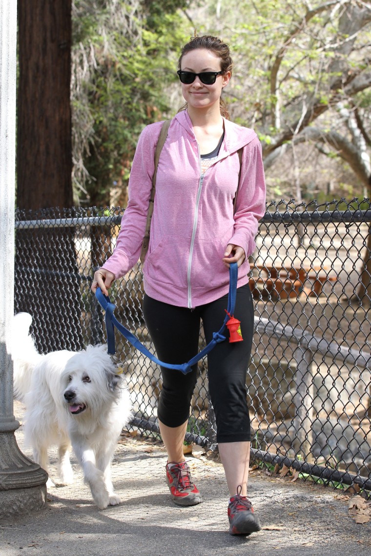 Olivia Wilde hikes with her dog in Griffith Park in Los Feliz,CA