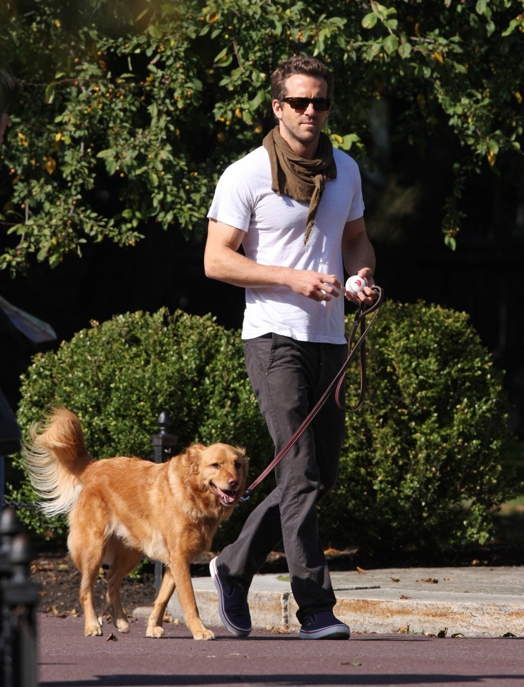 Ryan Reynolds walking his dog Baxter in the Boston Public Garden